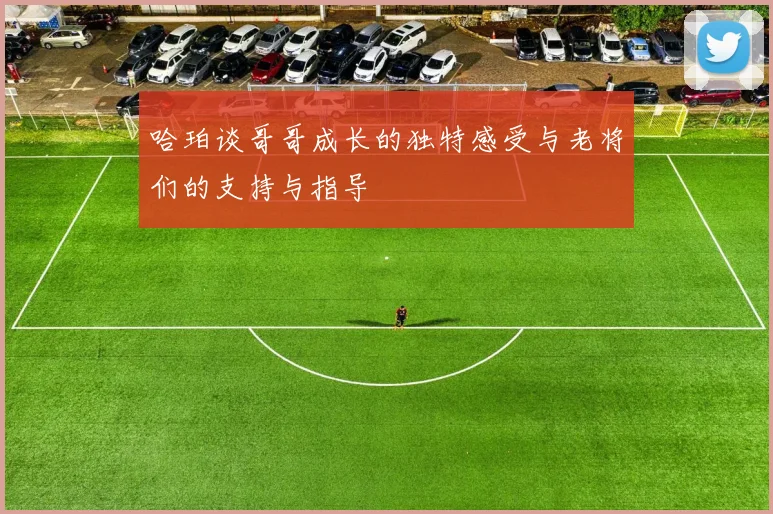 哈珀谈哥哥成长的独特感受与老将们的支持与指导